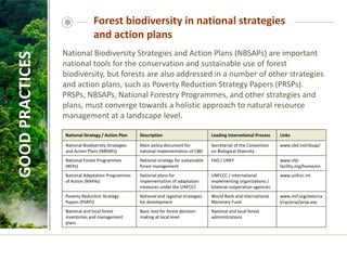 Forest biodiversity in national strategies
and action plans
National Biodiversity Strategies and Action Plans (NBSAPs) are important
national tools for the conservation and sustainable use of forest
biodiversity, but forests are also addressed in a number of other strategies
and action plans, such as Poverty Reduction Strategy Papers (PRSPs).
PRSPs, NBSAPs, National Forestry Programmes, and other strategies and
plans, must converge towards a holistic approach to natural resource
management at a landscape level.
GOOD
PRACTICES
National Strategy / Action Plan Description Leading International Process Links
National Biodiversity Strategies
and Action Plans (NBSAPs)
Main policy document for
national implementation of CBD
Secretariat of the Convention
on Biological Diversity
www.cbd.int/nbsap/
National Forest Programmes
(NFPs)
National strategy for sustainable
forest management
FAO / UNFF www.nfp-
facility.org/home/en
National Adaptation Programmes
of Action (NAPAs)
National plans for
implementation of adaptation
measures under the UNFCCC
UNFCCC / international
implementing organizations /
bilateral cooperation agencies
www.unfccc.int
Poverty Reduction Strategy
Papers (PSRPs)
National and regional strategies
for development
World Bank and International
Monetary Fund
www.imf.org/externa
l/np/prsp/prsp.asp
National and local forest
inventories and management
plans
Basic tool for forest decision-
making at local level
National and local forest
administrations
 