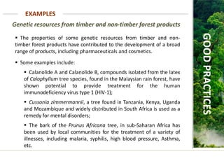 Genetic resources from timber and non-timber forest products
EXAMPLES
GOOD
PRACTICES
 The properties of some genetic resources from timber and non-
timber forest products have contributed to the development of a broad
range of products, including pharmaceuticals and cosmetics.
 Some examples include:
 Calanolide A and Calanolide B, compounds isolated from the latex
of Calophyllum tree species, found in the Malaysian rain forest, have
shown potential to provide treatment for the human
immunodeficiency virus type 1 (HIV-1);
 Cussonia zimmermannii, a tree found in Tanzania, Kenya, Uganda
and Mozambique and widely distributed in South Africa is used as a
remedy for mental disorders;
 The bark of the Prunus Africana tree, in sub-Saharan Africa has
been used by local communities for the treatment of a variety of
illnesses, including malaria, syphilis, high blood pressure, Asthma,
etc.
 