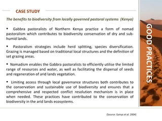 CASE STUDY GOOD PRACTICES The benefits to biodiversity from locally governed pastoral systems  (Kenya) Gabbra pastoralists of Northern Kenya practice a form of nomad pastoralism which contributes to biodiversity conservation of dry and sub-humid lands.  Pastoralism strategies include herd splitting, species diversification. Grazing is managed based on traditional local structures and the definition of set grazing areas.  Nomadism enables the Gabbra pastoralists to efficiently utilise the limited range of resources and water, as well as facilitating the dispersal of seeds and regeneration of arid lands vegetation.  Limiting access through local governance structures both contributes to the conservation and sustainable use of biodiversity and ensures that a comprehensive and respected conflict resolution mechanism is in place when needed. These practices have contributed to the conservation of biodiversity in the arid lands ecosystems.      (Source: Ganya  et al.  2004) 