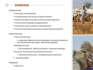   OVERVIEW INTRODUCTION   Pastoralism and biodiversity Ecosystem goods and services of pastoral systems Pastoral management systems and the Ecosystem Approach Environmental challenges facing pastoralists Pastoralism, poverty reduction and development Current trends linked to pastoralism, biodiversity & development GOOD PRACTICES Policy considerations >  Integrating indigenous & local knowledge, innovations & practices;   Securing land and water rights;  Mainstreaming gender Management Tools >  Risk management;  Mixed conservation—production landscape  Economic, financial and market-based instruments >  Improving market access;  Emerging financial mechanisms Capacity building RESOURCES References 