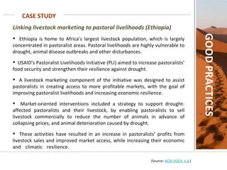 CASE STUDY GOOD PRACTICES Linking livestock marketing to pastoral livelihoods (Ethiopia)     Ethiopia is home to Africa’s largest livestock population, which is largely concentrated in pastoralist areas. Pastoral livelihoods are highly vulnerable to drought, animal disease outbreaks and other disturbances.  USAID’s Pastoralist Livelihoods Initiative (PLI) aimed to increase pastoralists’ food security and strengthen their resilience against drought.  A livestock marketing component of the initiative was designed to assist pastoralists in creating access to more profitable markets, with the goal of improving pastoralist livelihoods and increasing economic resilience.  Market-oriented interventions included a strategy to support drought-affected pastoralists and their livestock, by enabling pastoralists to sell livestock commercially to reduce the number of animals in advance of collapsing prices, and animal deterioration caused by drought.  These activities have resulted in an increase in pastoralists’ profits from livestock sales and improved market access, while increasing their economic and climatic resilience.    (Source:  ACDI-VOCA. n.d. ) 