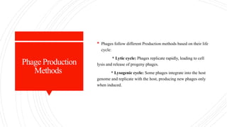 Phage Production
Methods
 Phages follow different Production methods based on their life
cycle:
* Lytic cycle: Phages replicate rapidly, leading to cell
lysis and release of progeny phages.
* Lysogenic cycle: Some phages integrate into the host
genome and replicate with the host, producing new phages only
when induced.
 