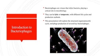 Introduction to
Bacteriophages
 Bacteriophages are viruses that infect bacteria, playing a
critical role in microbiology.
 They can be lytic or temperate, with different life cycles and
production methods.
 This presentation will explore the structural organization,life
cycle, and phage production of several key bacteriophages.
 