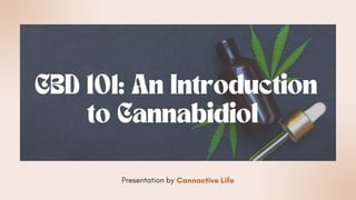 CBD 101: An Introduction
to Cannabidiol
Presentation by Cannactive Life
 