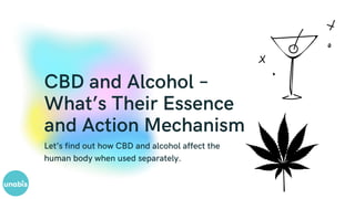 CBD and Alcohol –
What’s Their Essence
and Action Mechanism
Let’s find out how CBD and alcohol affect the
human body when ...