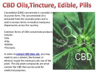 Cannabidiol (CBD) concentrate is cannabis in
its purest form. The concentrated oil is
extracted from the cannabis plant and is
sold in various forms in medical marijuana
dispensaries across the country.
Common forms of CBD concentrate products
include:
•Oils
•Pills
•Edibles
•Tinctures
In order to extract CBD olive oils, you may
need to use a solvent, like butane or
ethanol, to get the necessary oils out of the
plant. The oily plant compounds are what
contain the CBD that can be used for
medicinal purposes.
 