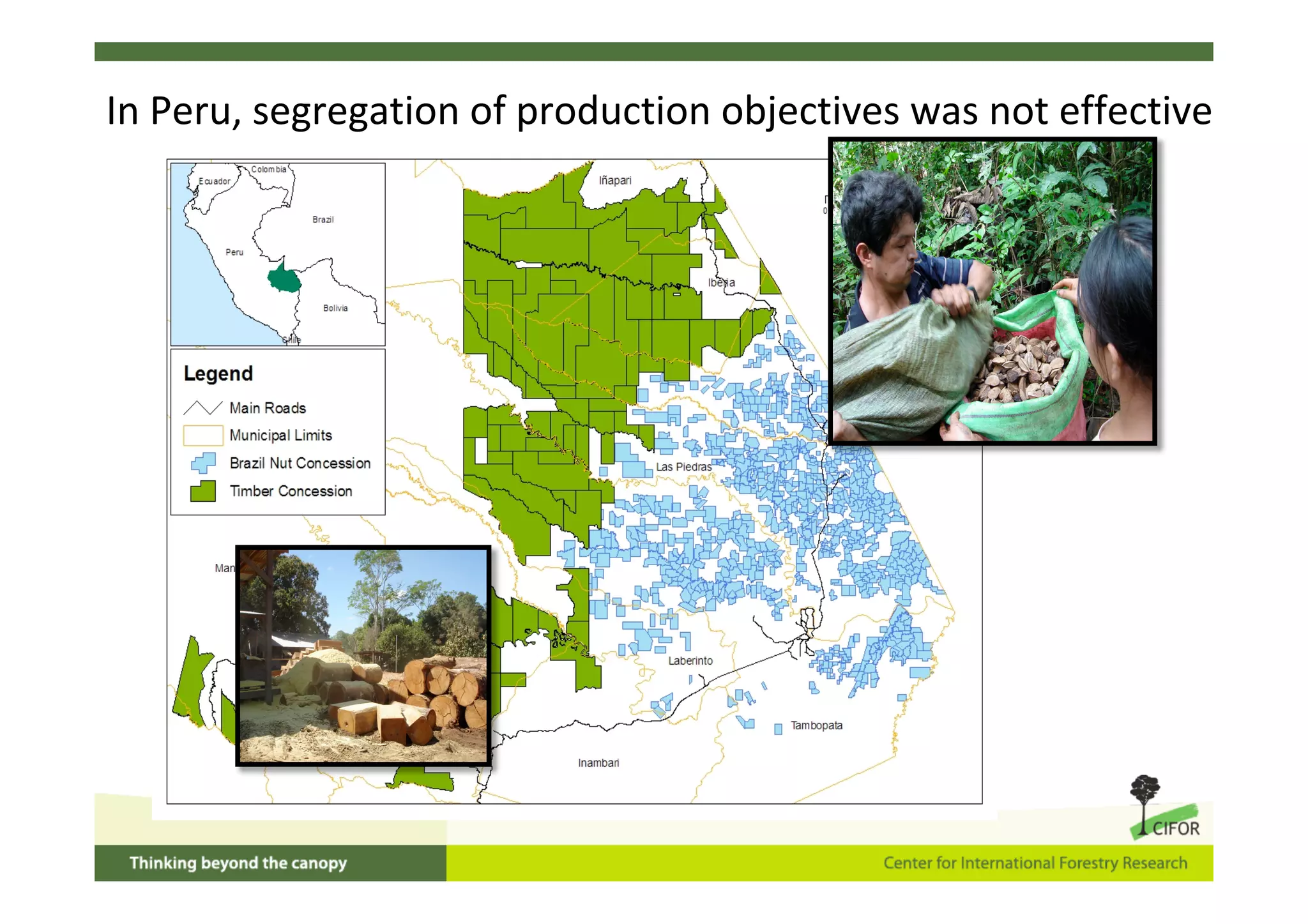 In Peru, segregation of production objectives was not effective
 