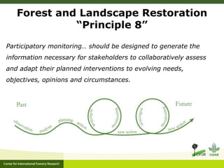 Success from the Ground Up? Participatory Monitoring in Forest Restoration