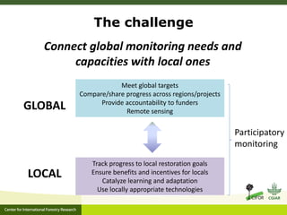 Success from the Ground Up? Participatory Monitoring in Forest Restoration