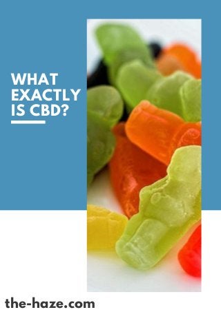 WHAT
EXACTLY
IS CBD?
the-haze.com
 