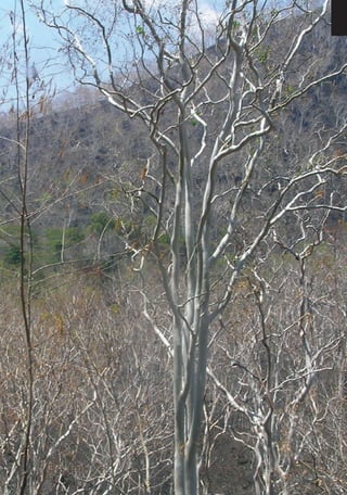 Dissaster Risk Reduction