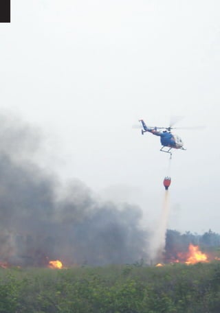 Dissaster Risk Reduction