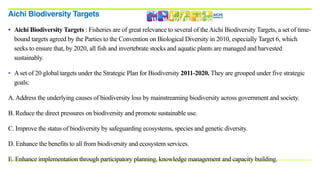 • Aichi Biodiversity Targets : Fisheries are of great relevance to several of theAichi Biodiversity Targets, a set of time-
bound targets agreed by the Parties to the Convention on Biological Diversity in 2010, especially Target 6, which
seeks to ensure that, by 2020, all fish and invertebrate stocks and aquatic plants are managed and harvested
sustainably.
• Aset of 20 global targets under the Strategic Plan for Biodiversity 2011-2020. They are grouped under five strategic
goals:
A.Address the underlying causes of biodiversity loss by mainstreaming biodiversity across government and society.
B. Reduce the direct pressures on biodiversity and promote sustainable use.
C. Improve the status of biodiversity by safeguarding ecosystems, species and genetic diversity.
D. Enhance the benefits to all from biodiversity and ecosystem services.
E. Enhance implementation through participatory planning, knowledge management and capacity building.
Aichi Biodiversity Targets
 