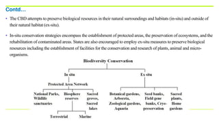 • The CBD attempts to preserve biological resources in their natural surroundings and habitats (in-situ) and outside of
their natural habitat (ex-situ).
• In-situ conservation strategies encompass the establishment of protected areas, the preservation of ecosystems, and the
rehabilitation of contaminated areas. States are also encouraged to employ ex-situ measures to preserve biological
resources including the establishment of facilities for the conservation and research of plants, animal and micro-
organisms.
Contd…
 