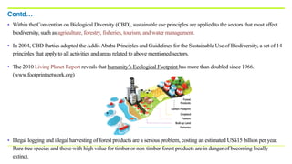 • Within the Convention on Biological Diversity (CBD), sustainable use principles are applied to the sectors that most affect
biodiversity, such as agriculture, forestry, fisheries, tourism, and water management.
• In 2004, CBD Parties adopted theAddisAbaba Principles and Guidelines for the Sustainable Use of Biodiversity, a set of 14
principles that apply to all activities and areas related to above mentioned sectors.
• The 2010 Living Planet Report reveals that humanity’s Ecological Footprint has more than doubled since 1966.
(www.footprintnetwork.org)
• Illegal logging and illegal harvesting of forest products are a serious problem, costing an estimated US$15 billion per year.
Rare tree species and those with high value for timber or non-timber forest products are in danger of becoming locally
extinct.
Contd…
 
