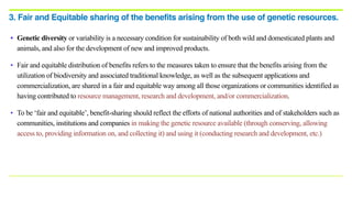 • Genetic diversity or variability is a necessary condition for sustainability of both wild and domesticated plants and
animals, and also for the development of new and improved products.
• Fair and equitable distribution of benefits refers to the measures taken to ensure that the benefits arising from the
utilization of biodiversity and associated traditional knowledge, as well as the subsequent applications and
commercialization, are shared in a fair and equitable way among all those organizations or communities identified as
having contributed to resource management, research and development, and/or commercialization.
• To be ‘fair and equitable’, benefit-sharing should reflect the efforts of national authorities and of stakeholders such as
communities, institutions and companies in making the genetic resource available (through conserving, allowing
access to, providing information on, and collecting it) and using it (conducting research and development, etc.)
3. Fair and Equitable sharing of the benefits arising from the use of genetic resources.
 
