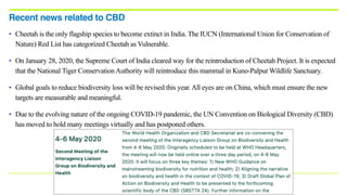 • Cheetah is the only flagship species to become extinct in India. The IUCN (International Union for Conservation of
Nature) Red List has categorized Cheetah as Vulnerable.
• On January 28, 2020, the Supreme Court of India cleared way for the reintroduction of Cheetah Project. It is expected
that the National Tiger ConservationAuthority will reintroduce this mammal in Kuno-Palpur Wildlife Sanctuary.
• Global goals to reduce biodiversity loss will be revised this year.All eyes are on China, which must ensure the new
targets are measurable and meaningful.
• Due to the evolving nature of the ongoing COVID-19 pandemic, the UN Convention on Biological Diversity (CBD)
has moved to hold many meetings virtually and has postponed others.
Recent news related to CBD
 