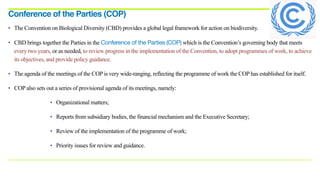 • The Convention on Biological Diversity (CBD) provides a global legal framework for action on biodiversity.
• CBD brings together the Parties in the Conference of the Parties (COP) which is the Convention’s governing body that meets
every two years, or as needed, to review progress in the implementation of the Convention, to adopt programmes of work, to achieve
its objectives, and provide policy guidance.
• The agenda of the meetings of the COP is very wide-ranging, reflecting the programme of work the COP has established for itself.
• COP also sets out a series of provisional agenda of its meetings, namely:

• Organizational matters;
• Reports from subsidiary bodies, the financial mechanism and the Executive Secretary;
• Review of the implementation of the programme of work;
• Priority issues for review and guidance.
Conference of the Parties (COP)
 