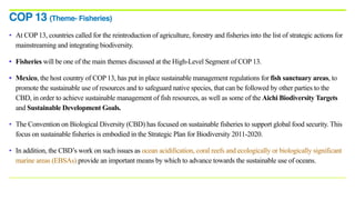 • At COP 13, countries called for the reintroduction of agriculture, forestry and fisheries into the list of strategic actions for
mainstreaming and integrating biodiversity.
• Fisheries will be one of the main themes discussed at the High-Level Segment of COP 13.
• Mexico, the host country of COP 13, has put in place sustainable management regulations for fish sanctuary areas, to
promote the sustainable use of resources and to safeguard native species, that can be followed by other parties to the
CBD, in order to achieve sustainable management of fish resources, as well as some of the Aichi Biodiversity Targets
and Sustainable Development Goals.
• The Convention on Biological Diversity (CBD) has focused on sustainable fisheries to support global food security. This
focus on sustainable fisheries is embodied in the Strategic Plan for Biodiversity 2011-2020.
• In addition, the CBD’s work on such issues as ocean acidification, coral reefs and ecologically or biologically significant
marine areas (EBSAs) provide an important means by which to advance towards the sustainable use of oceans.
COP 13 (Theme- Fisheries)
 