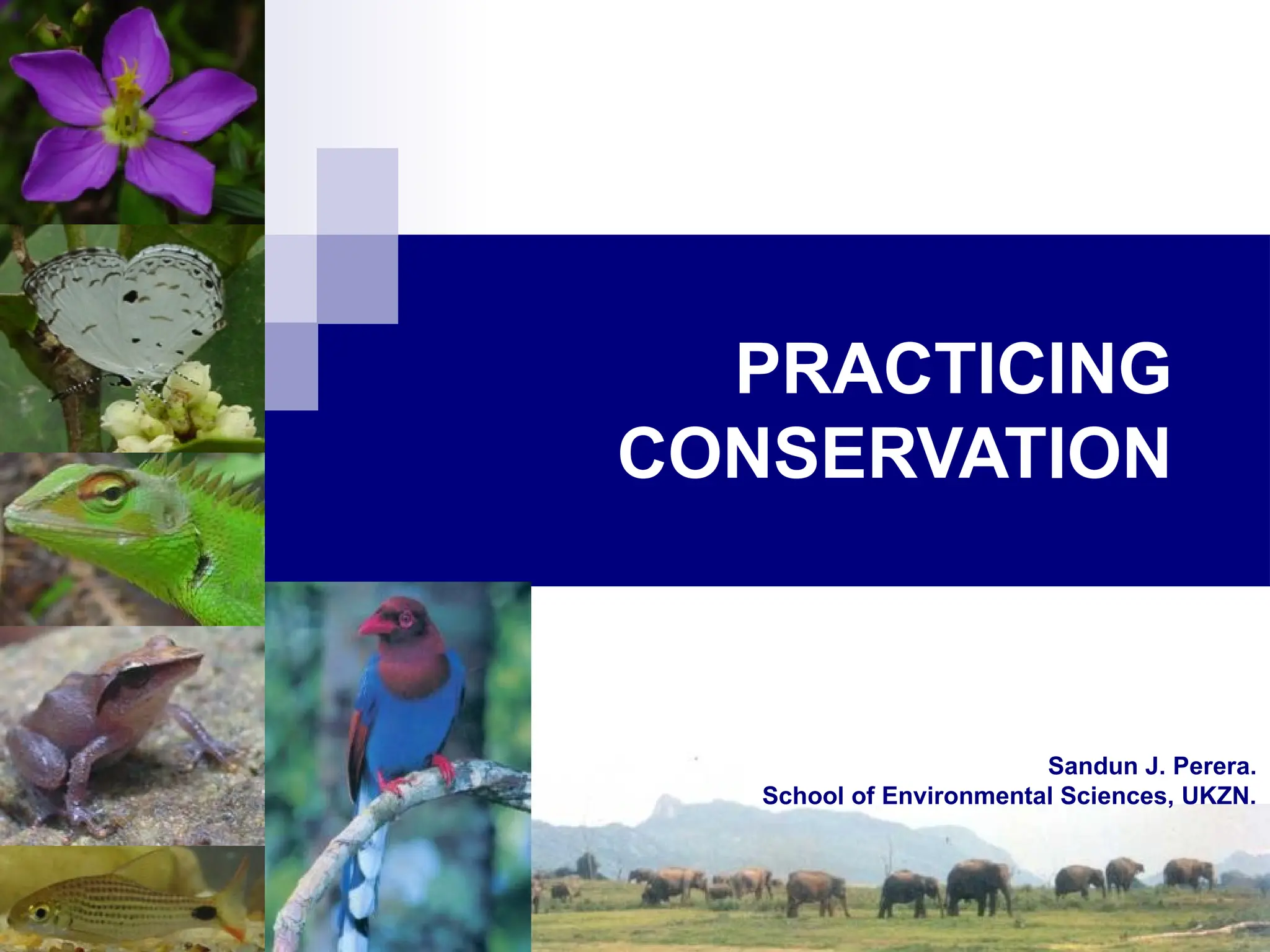 PRACTICING
CONSERVATION
Sandun J. Perera.
School of Environmental Sciences, UKZN.
 