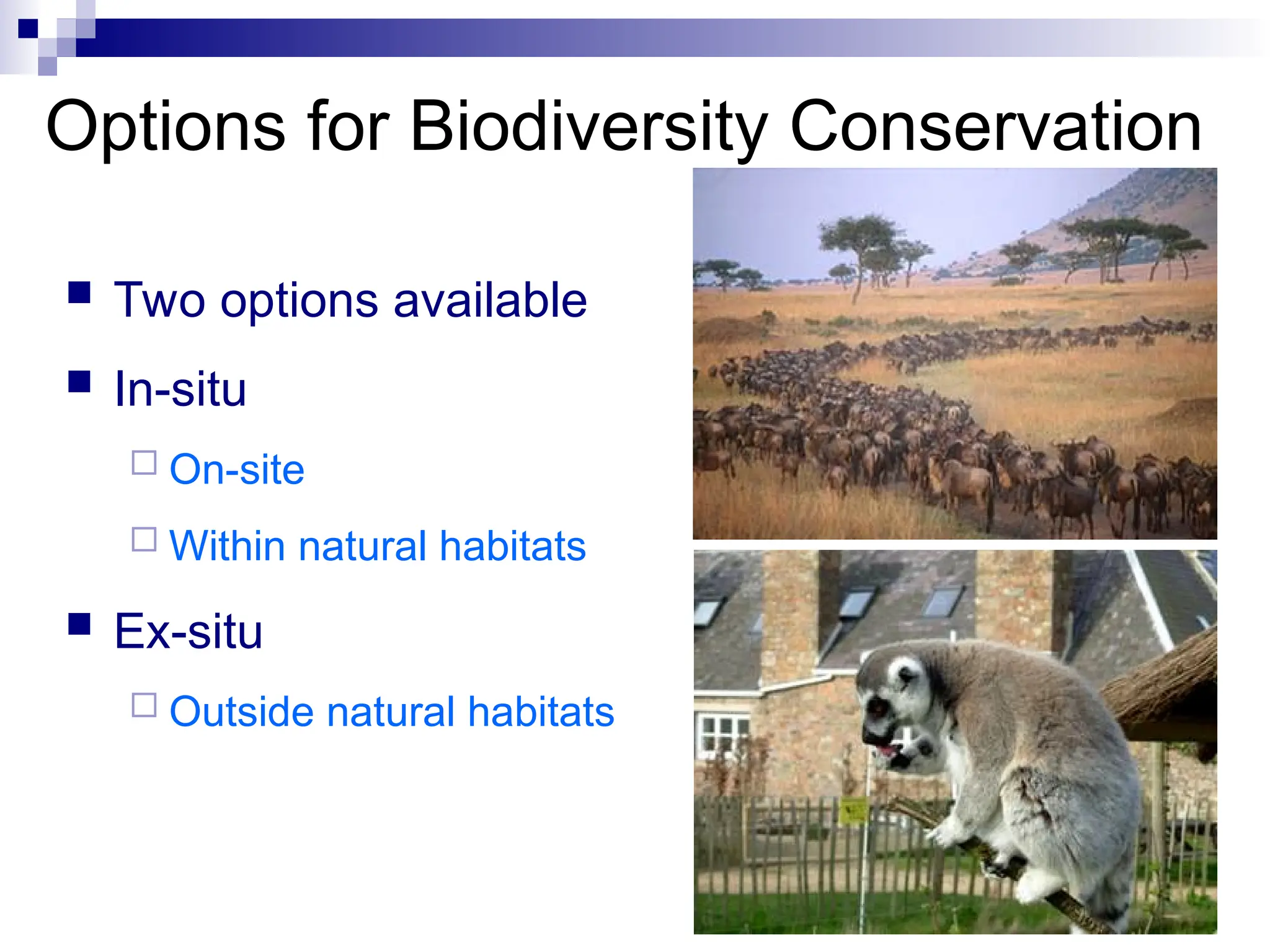 Options for Biodiversity Conservation
 Two options available
 In-situ
 On-site
 Within natural habitats
 Ex-situ
 Outside natural habitats
 