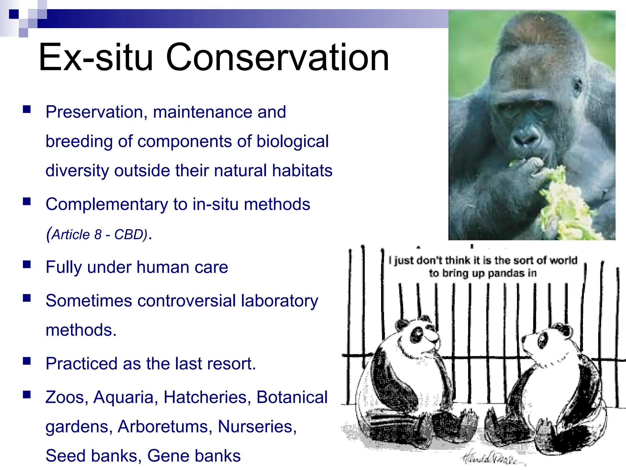 Ex-situ Conservation
 Preservation, maintenance and
breeding of components of biological
diversity outside their natural habitats
 Complementary to in-situ methods
(Article 8 - CBD).
 Fully under human care
 Sometimes controversial laboratory
methods.
 Practiced as the last resort.
 Zoos, Aquaria, Hatcheries, Botanical
gardens, Arboretums, Nurseries,
Seed banks, Gene banks
 
