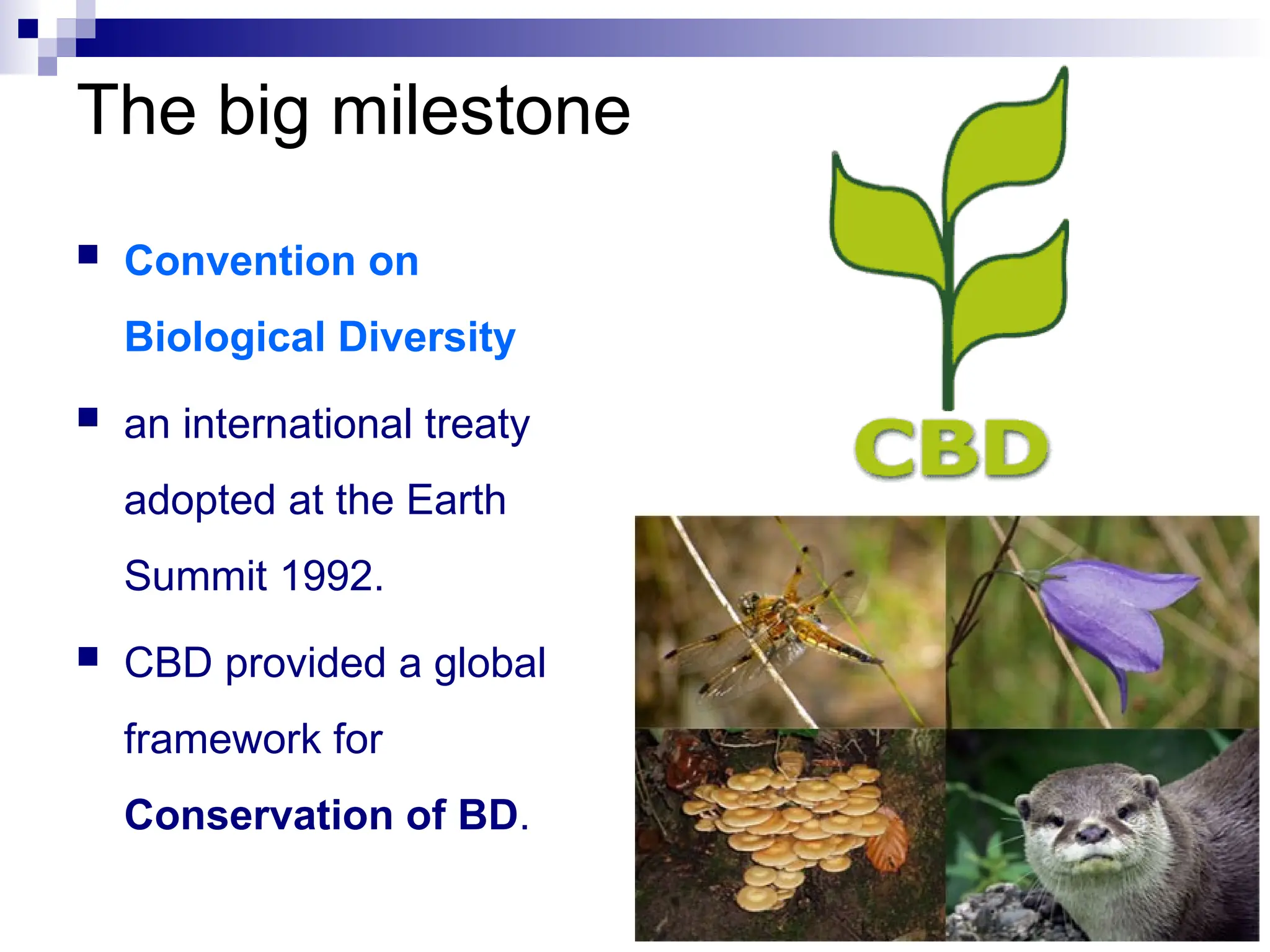  Convention on
Biological Diversity
 an international treaty
adopted at the Earth
Summit 1992.
 CBD provided a global
framework for
Conservation of BD.
The big milestone
 