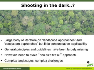 Shooting in the dark..?




•     Large body of literature on “landscape approaches” and
     “ecosystem approaches” but l...