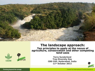 The landscape approach:
    Ten principles to apply at the nexus of
agriculture, conservation and other competing
                  land-uses	
  
               Terry Sunderland
               Tree Diversity Day
           CBD COP, Hyderabad, India
               11th October 2012
 