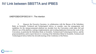 IV/ Link between SBSTTA and IPBES
UNEP/CBD/COP/DEC/X/11 : The intention
 