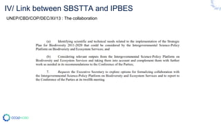 IV/ Link between SBSTTA and IPBES
UNEP/CBD/COP/DEC/XI/13 : The collaboration
 