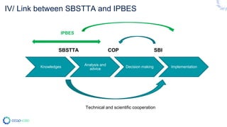 IV/ Link between SBSTTA and IPBES
Knowledges
Analysis and
advice
Decision making Implementation
SBSTTA COP
Technical and scientific cooperation
SBI
IPBES
 