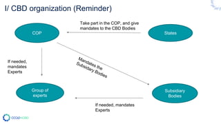 I/ CBD organization (Reminder)
COP
Subsidiary
Bodies
Group of
experts
States
Take part in the COP, and give
mandates to th...