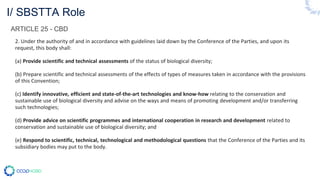 I/ SBSTTA Role
ARTICLE 25 - CBD
2. Under the authority of and in accordance with guidelines laid down by the Conference of the Parties, and upon its
request, this body shall:
(a) Provide scientific and technical assessments of the status of biological diversity;
(b) Prepare scientific and technical assessments of the effects of types of measures taken in accordance with the provisions
of this Convention;
(c) Identify innovative, efficient and state-of-the-art technologies and know-how relating to the conservation and
sustainable use of biological diversity and advise on the ways and means of promoting development and/or transferring
such technologies;
(d) Provide advice on scientific programmes and international cooperation in research and development related to
conservation and sustainable use of biological diversity; and
(e) Respond to scientific, technical, technological and methodological questions that the Conference of the Parties and its
subsidiary bodies may put to the body.
 