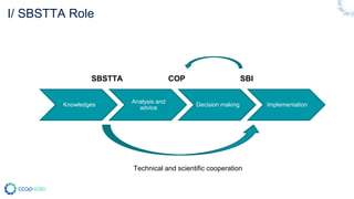 I/ SBSTTA Role
Knowledges
Analysis and
advice
Decision making Implementation
SBSTTA COP
Technical and scientific cooperation
SBI
 