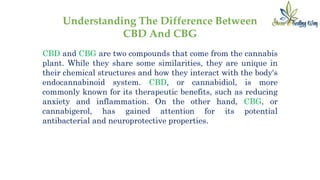 CBD VS CBG What is the difference [Benefits And Uses]? | PPTX