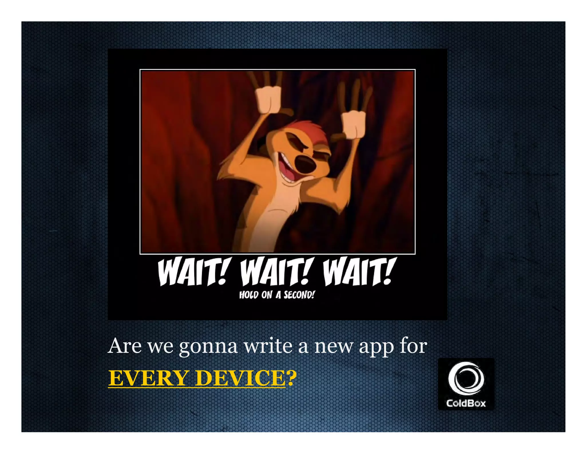 Are  we  gonna  write  a  new  app  for EVERY  DEVICE? 