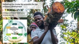 Christopher Martius & Malte Kassner
10 December 2020
Delivering the circular bio-economy for low
emissions development
 