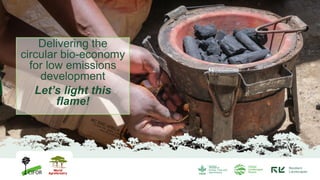 Delivering the circular bio-economy for low emissions development