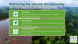Delivering the circular bio-economy
for low emissions development
Going green
Developing new biomaterials from forests, pl...
