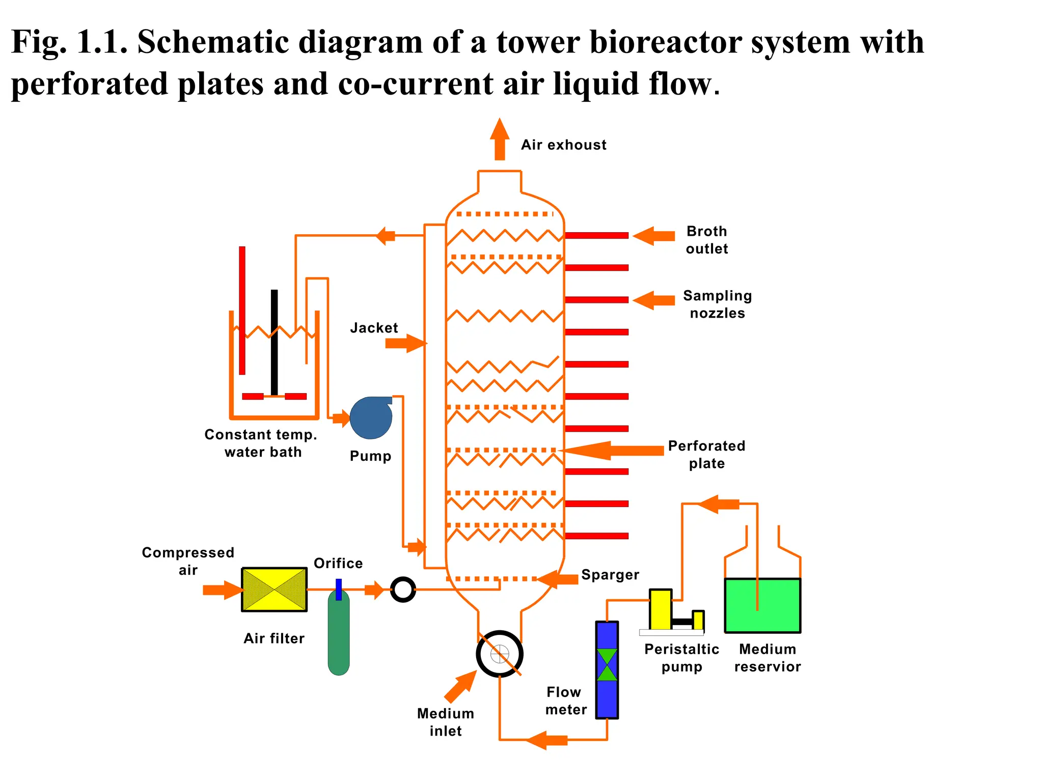 Fig. 1.1. Schematic diagram of a tower bioreactor system with
perforated plates and co-current air liquid flow.
Medium
inlet
Air filter
Orifice
Compressed
air
Flow
meter
Peristaltic
pump
Medium
reservior
Constant temp.
water bath
Air exhoust
Pump
Jacket
Perforated
plate
Sparger
Broth
outlet
Sampling
nozzles
 