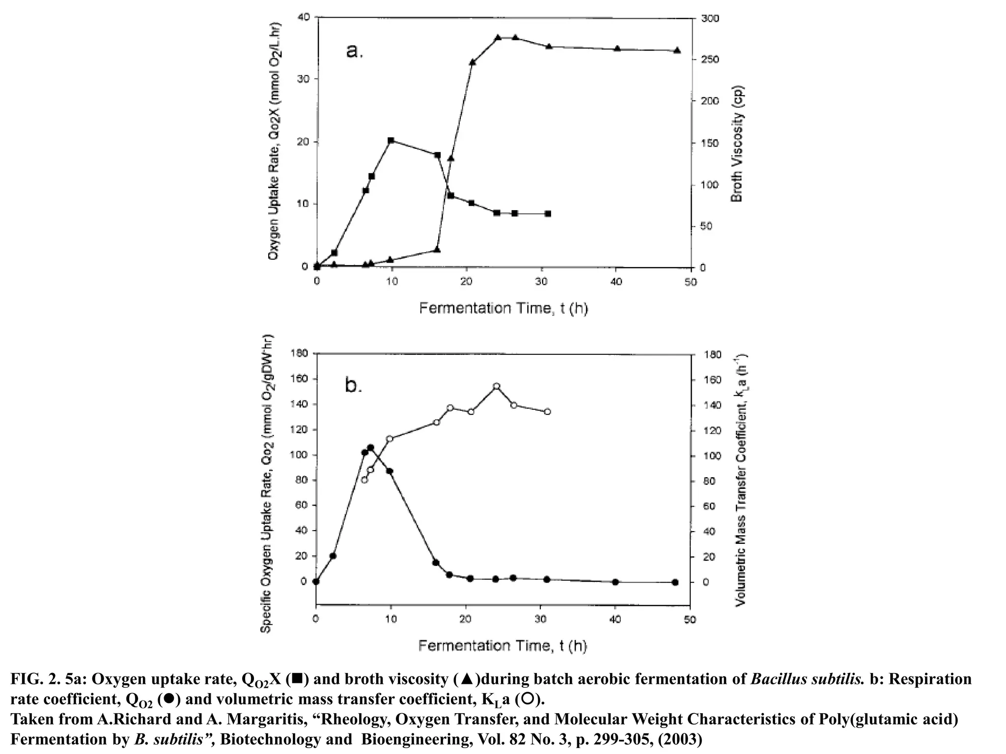 FIG. 2. 5a: Oxygen uptake rate, QO2X () and broth viscosity (▲)during batch aerobic fermentation of Bacillus subtilis. b: Respiration
rate coefficient, QO2 () and volumetric mass transfer coefficient, KLa ().
Taken from A.Richard and A. Margaritis, “Rheology, Oxygen Transfer, and Molecular Weight Characteristics of Poly(glutamic acid)
Fermentation by B. subtilis”, Biotechnology and Bioengineering, Vol. 82 No. 3, p. 299-305, (2003)
 