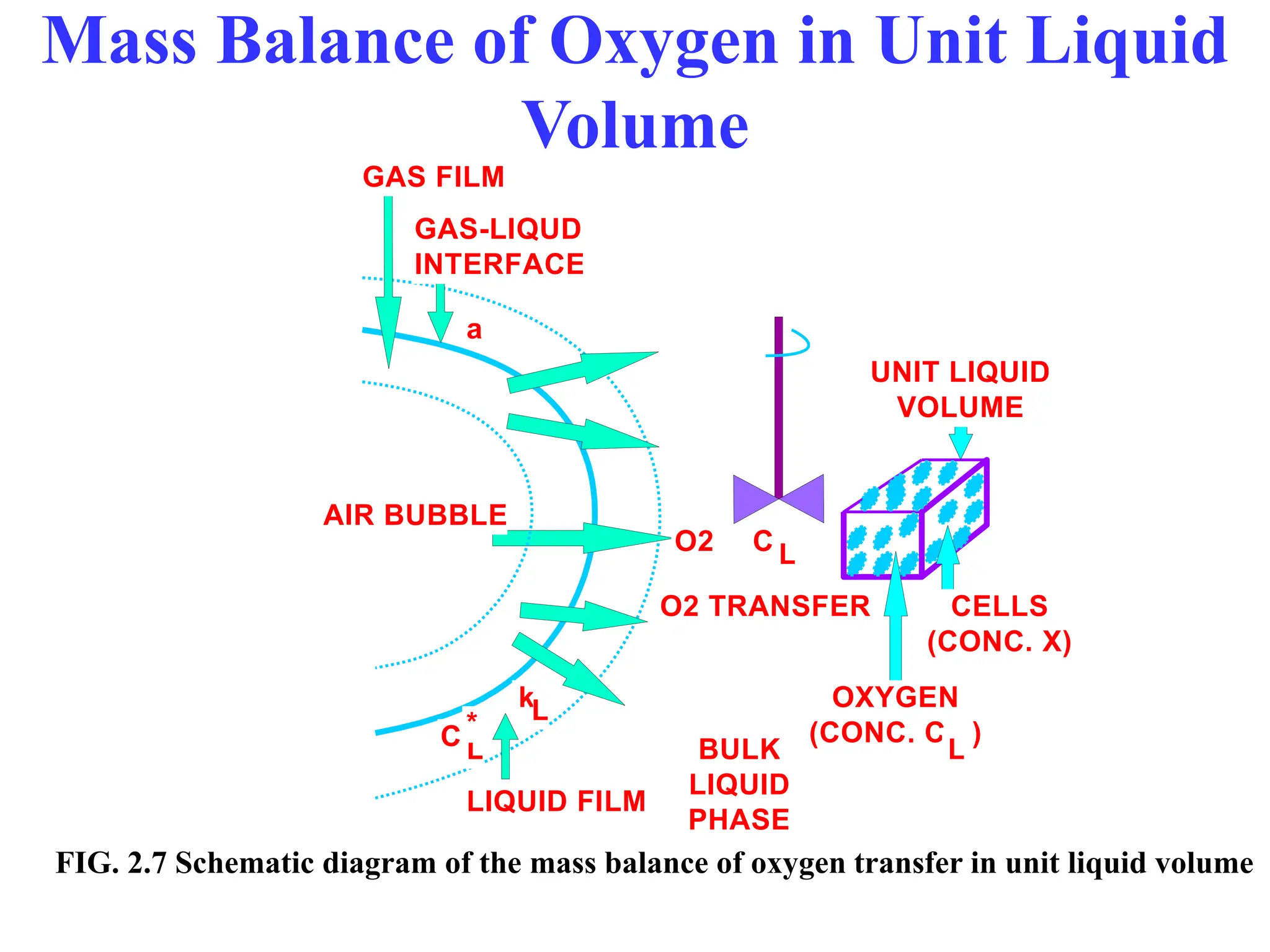 Mass Balance of Oxygen in Unit Liquid
Volume
AIR BUBBLE
LIQUID FILM
GAS FILM
GAS-LIQUD
INTERFACE
L
k
a
C L
*
UNIT LIQUID
VOLUME
CELLS
(CONC. X)
O2 C L
OXYGEN
(CONC. C )
L
BULK
LIQUID
PHASE
O2 TRANSFER
FIG. 2.7 Schematic diagram of the mass balance of oxygen transfer in unit liquid volume
 