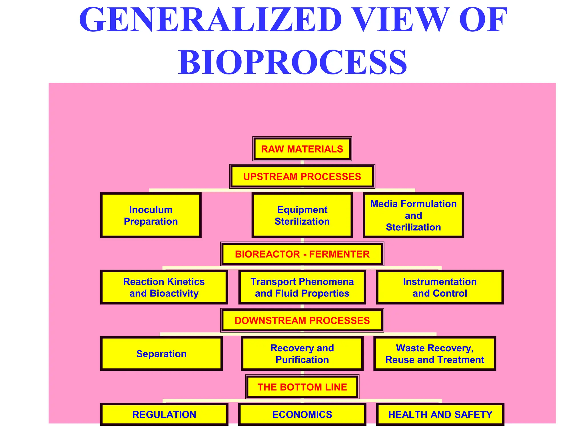 GENERALIZED VIEW OF
BIOPROCESS
RAW MATERIALS
UPSTREAM PROCESSES
Inoculum
Preparation
Equipment
Sterilization
Media Formulation
and
Sterilization
BIOREACTOR - FERMENTER
Reaction Kinetics
and Bioactivity
Transport Phenomena
and Fluid Properties
Instrumentation
and Control
DOWNSTREAM PROCESSES
Separation
Recovery and
Purification
Waste Recovery,
Reuse and Treatment
THE BOTTOM LINE
REGULATION ECONOMICS HEALTH AND SAFETY
 