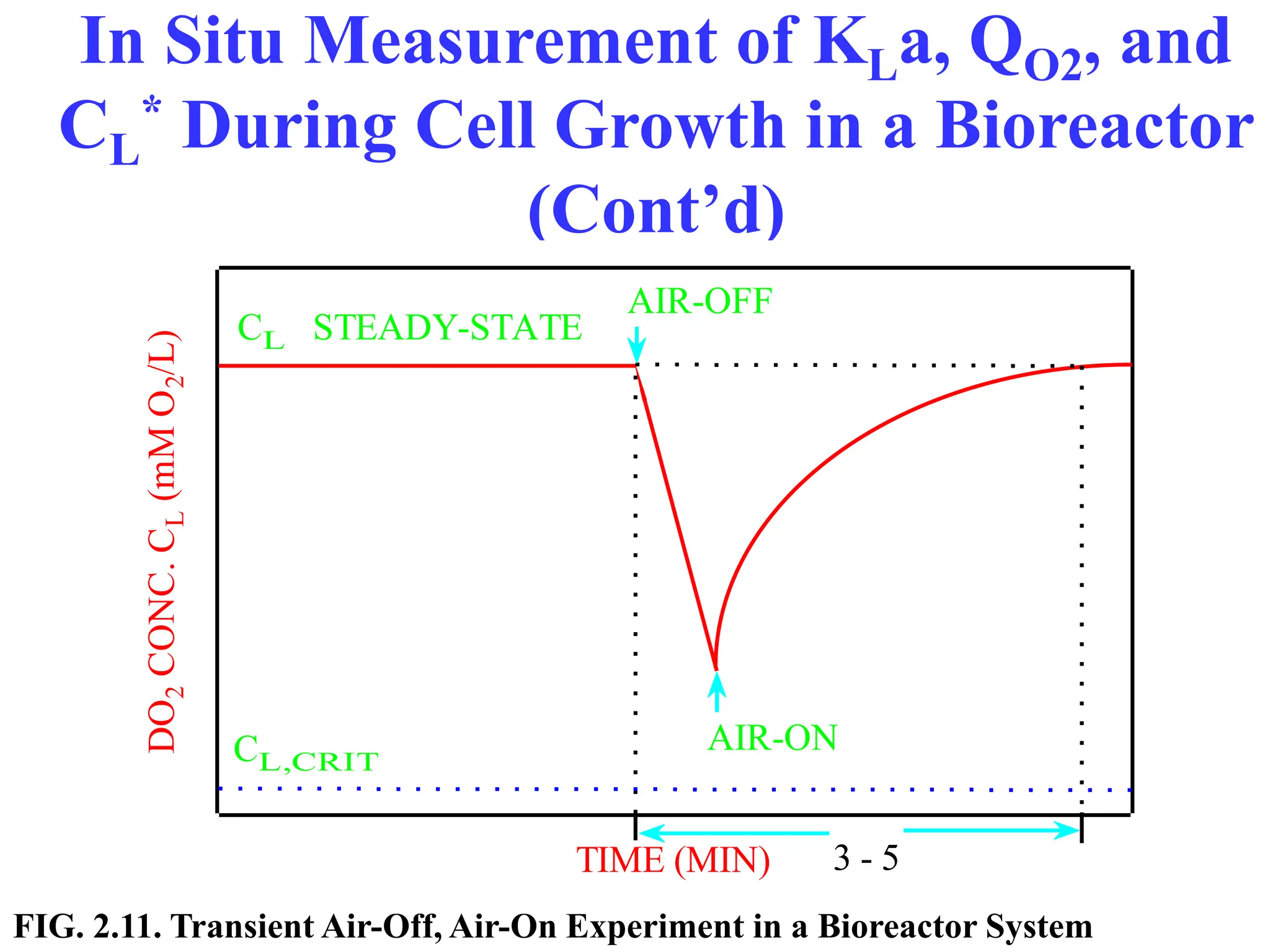 In Situ Measurement of KLa, QO2, and
CL
* During Cell Growth in a Bioreactor
(Cont’d)
TIME (MIN)
DO
2
CONC.
C
L
(mM
O
2
/L)
AIR-OFF
AIR-ON
CL,CRIT
3 - 5
CL STEADY-STATE
FIG. 2.11. Transient Air-Off, Air-On Experiment in a Bioreactor System
 