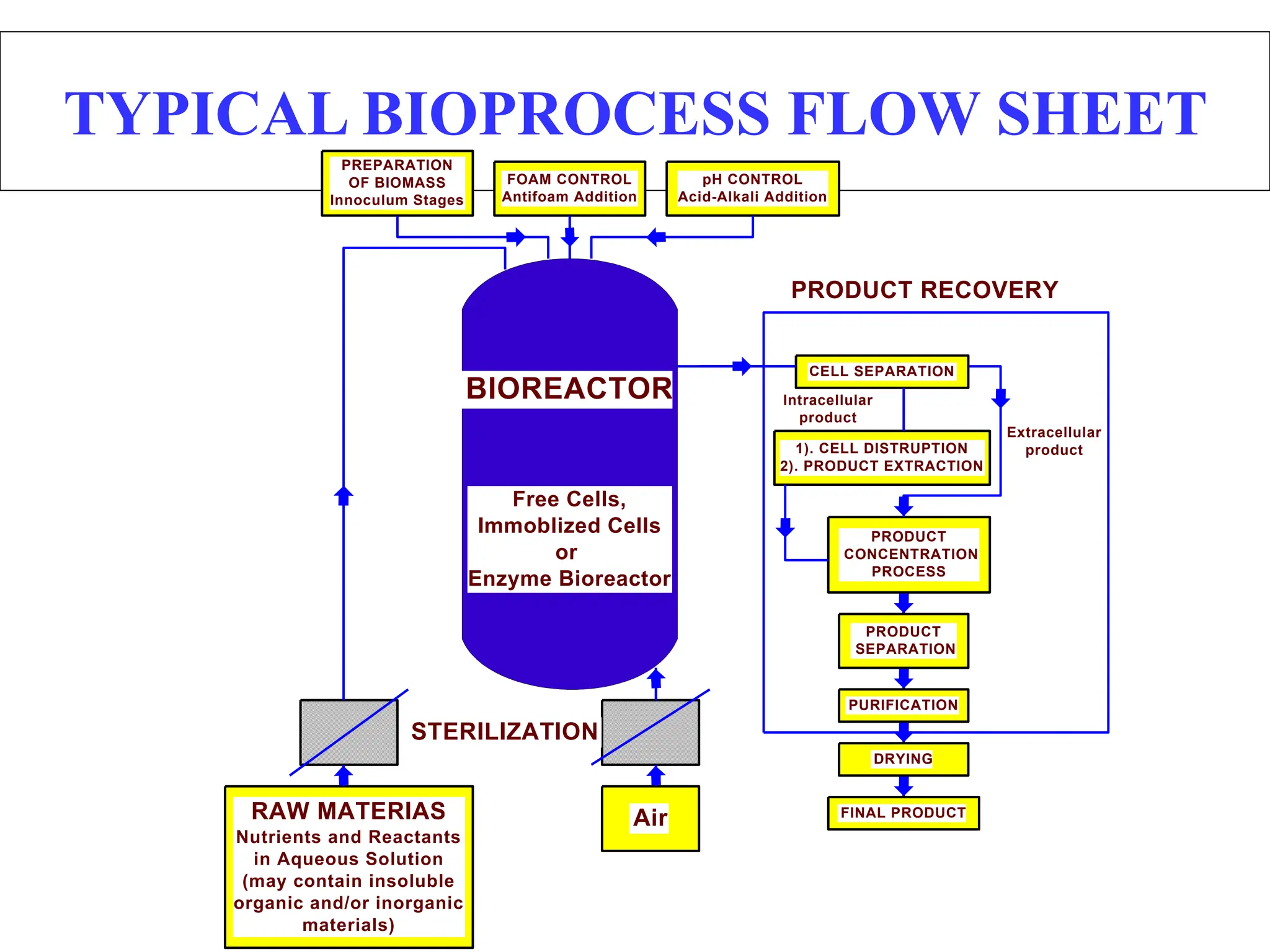 TYPICAL BIOPROCESS FLOW SHEET
RAW MATERIAS
Nutrients and Reactants
in Aqueous Solution
(may contain insoluble
organic and/or inorganic
materials)
Air
CELL SEPARATION
1). CELL DISTRUPTION
2). PRODUCT EXTRACTION
PRODUCT
CONCENTRATION
PROCESS
FINAL PRODUCT
DRYING
PURIFICATION
PRODUCT
SEPARATION
PREPARATION
OF BIOMASS
Innoculum Stages
FOAM CONTROL
Antifoam Addition
pH CONTROL
Acid-Alkali Addition
Extracellular
product
Intracellular
product
STERILIZATION
BIOREACTOR
Free Cells,
Immoblized Cells
or
Enzyme Bioreactor
PRODUCT RECOVERY
 