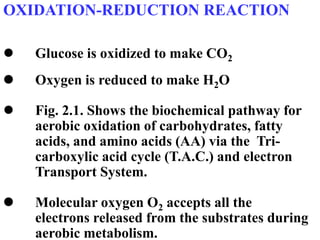 OXIDATION-REDUCTION REACTION
 Glucose is oxidized to make CO2
 Oxygen is reduced to make H2O
 Fig. 2.1. Shows the biochemical pathway for
aerobic oxidation of carbohydrates, fatty
acids, and amino acids (AA) via the Tri-
carboxylic acid cycle (T.A.C.) and electron
Transport System.
 Molecular oxygen O2 accepts all the
electrons released from the substrates during
aerobic metabolism.
 