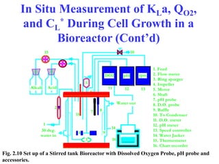 In Situ Measurement of KLa, QO2,
and CL
* During Cell Growth in a
Bioreactor (Cont’d)
Fig. 2.10 Set up of a Stirred tank Bioreactor with Dissolved Oxygen Probe, pH probe and
accessories.
Acid
DO2
1
4 9
pH
7 8
12
11
2
10
6
14
rpm
Alkali 13
15
15
16
5
3
1. Feed
2. Flow meter
3. Ring sparger
4. Impeller
5. Motor
6. Shaft
7. pH probe
8. D.O. probe
9. Baffle
10. To Condenser
11. D.O. meter
12. pH meter
13. Speed controller
14. Water Jacket
15. Thermometer
16. Chart recorder
Water out
30 deg.
water in
 