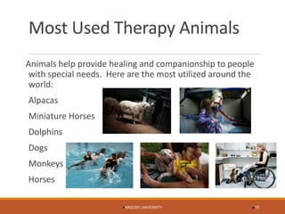 Most Used Therapy Animals 
Animals help provide healing and companionship to people with special needs. Here are the most utilized around the world: 
Alpacas 
Miniature Horses 
Dolphins 
Dogs 
Monkeys 
Horses 
ARGOSY UNIVERSITY 10 
 