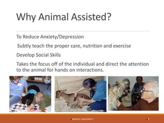 Why Animal Assisted? 
To Reduce Anxiety/Depression 
Subtly teach the proper care, nutrition and exercise 
Develop Social Skills 
Takes the focus off of the individual and direct the attention to the animal for hands on interactions. 
ARGOSY UNIVERSITY 9 
 